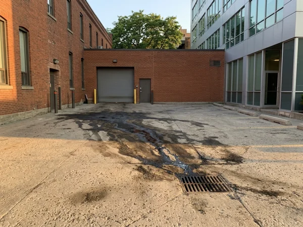 Oil Spill Cleanup before cleaning
