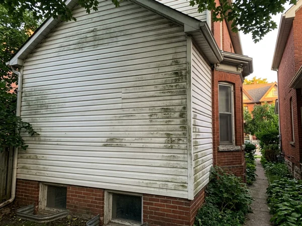 House washing Toronto vinyl siding algae removal in The Beaches (before)