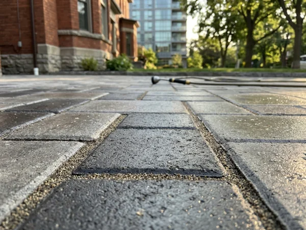 Close-up of tight polymeric sand joints after activation